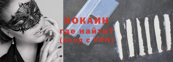 шишки Беломорск