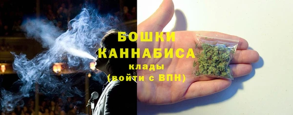 шишки Беломорск