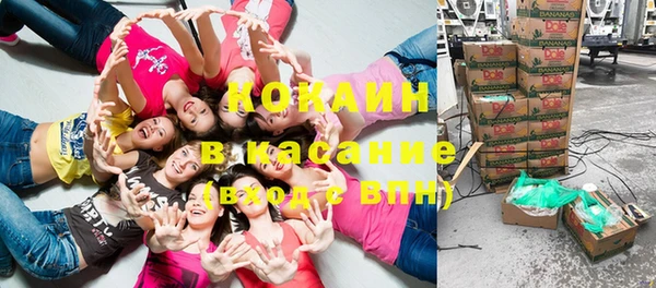 сатива Белоозёрский