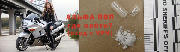 шишки Беломорск