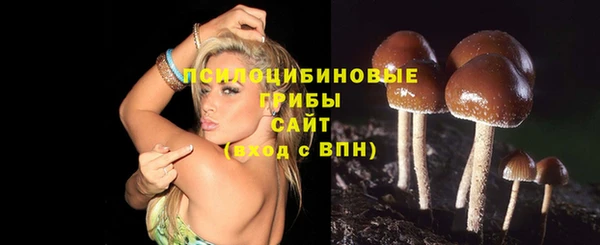 сатива Белоозёрский