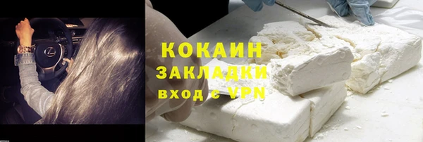 шишки Беломорск