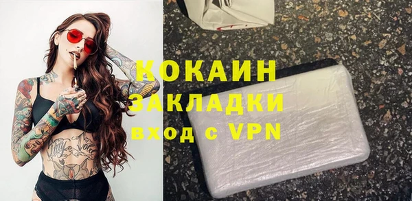 шишки Беломорск