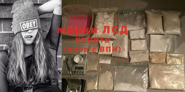 шишки Беломорск