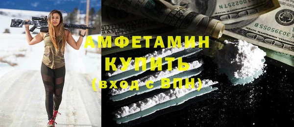 шишки Беломорск