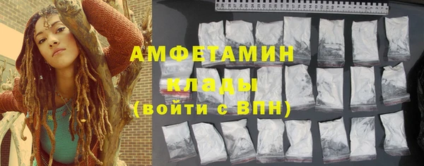 шишки Беломорск
