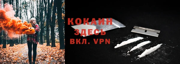 сатива Белоозёрский
