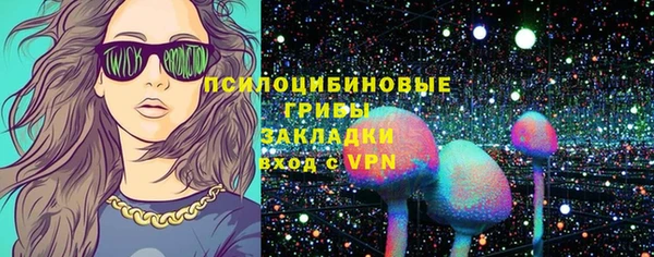 шишки Беломорск