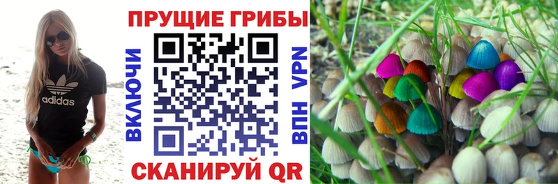 Псилоцибиновые грибы Magic Shrooms  Купить  Мелеуз 